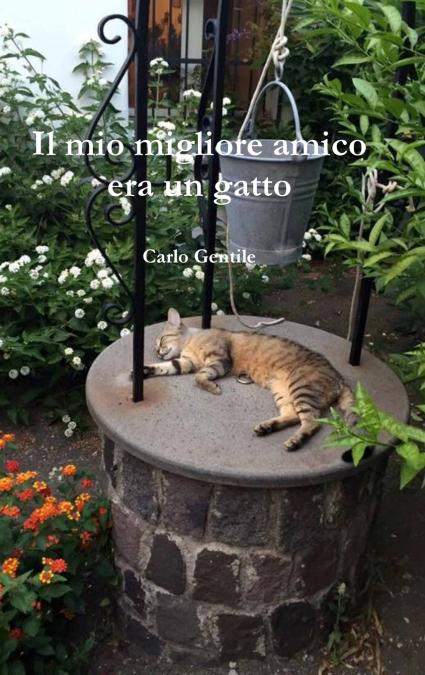 Il mio migliore amico era un gatto