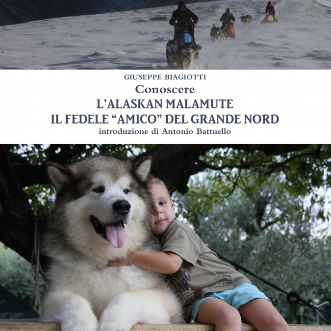 Conoscere l’Alaskan Malamute - Il fedele 'amico' del Grande Nord