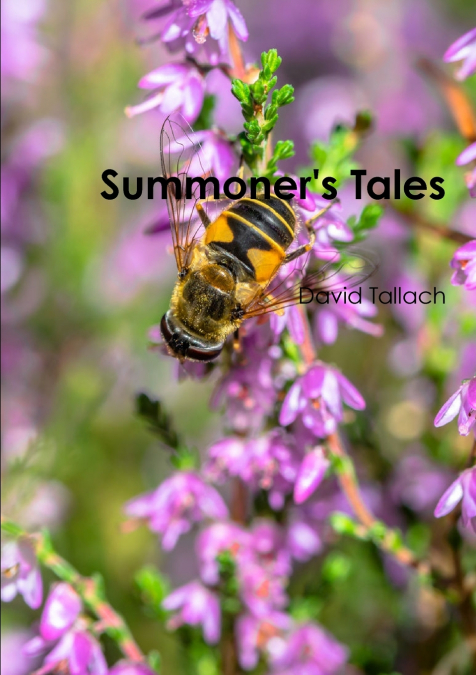 Summoner’s Tales