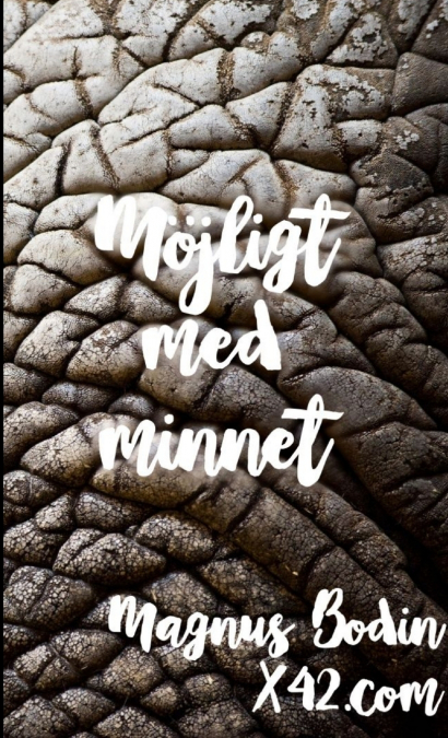 Möjligt Med Minnet