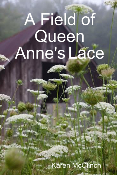 A Field of Queen Anne’s Lace