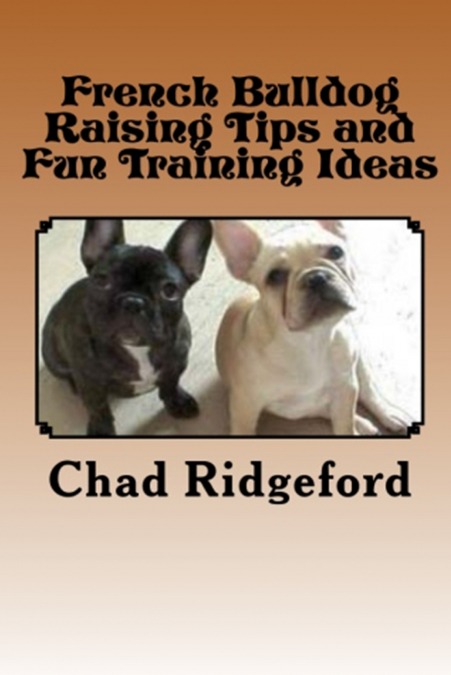 French Bulldog Raising Tips and Fun Training Ideas