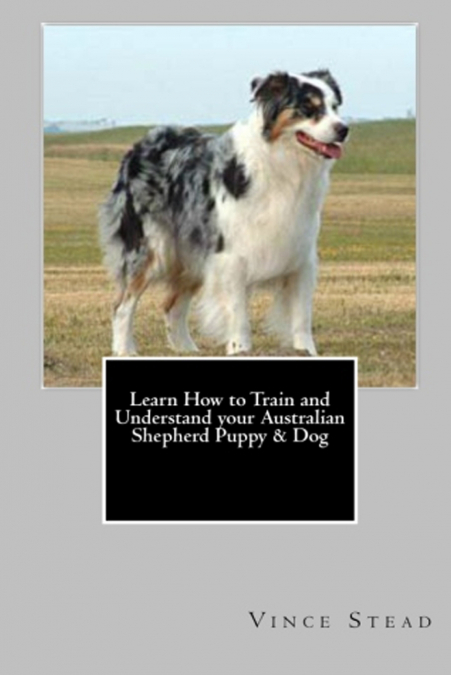 Learn How to Train and Understand your Australian Shepherd Puppy & Dog