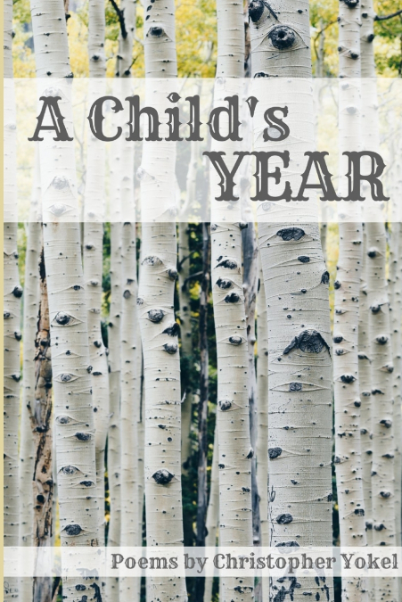 A Child’s Year