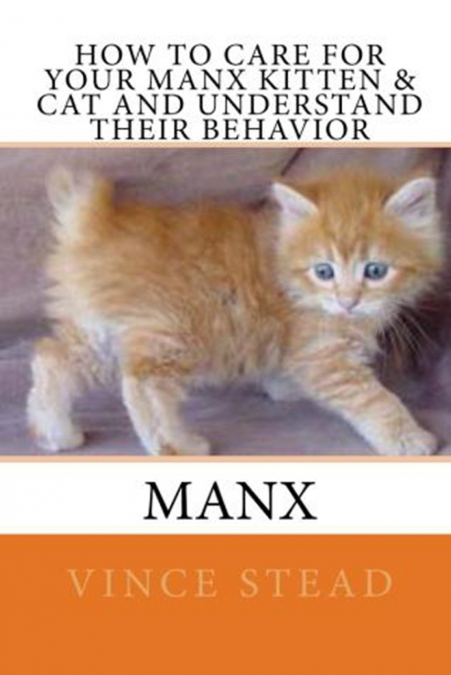 How to Care For Your Manx Kitten & Cat And Understand Their Behavior
