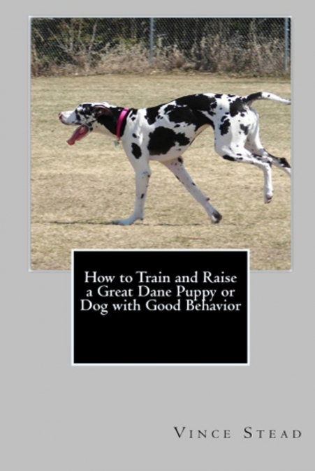 How to Train and Raise a Great Dane Puppy or Dog with Good Behavior