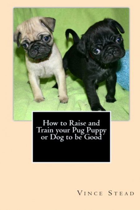 How to Raise and Train your Pug Puppy or Dog to be Good
