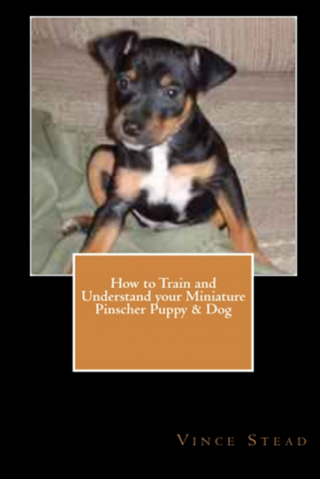 How to Train and Understand Your Miniature Pinscher Puppy & Dog
