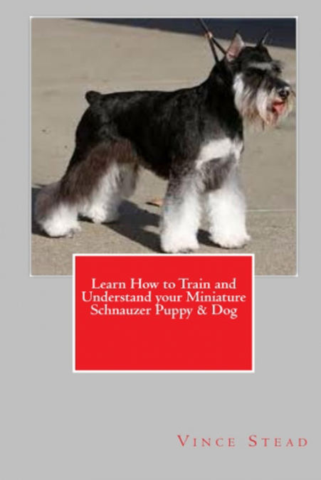 Learn How to Train and Understand your Miniature Schnauzer Puppy & Dog