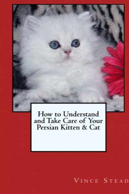 How to Understand and Take Care of Your Persian Kitten & Cat