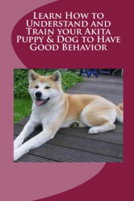 Learn How to Understand and Train your Akita Puppy & Dog to Have Good Behavior