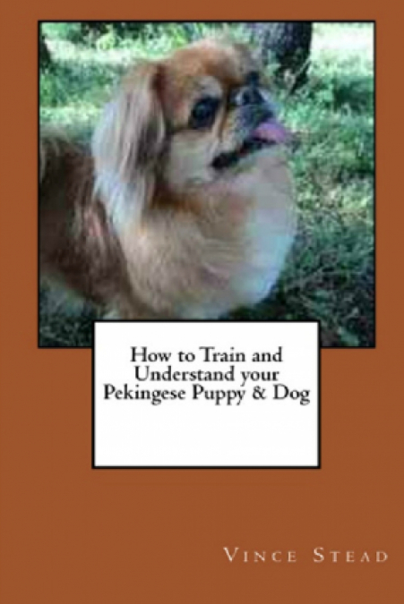 How to Train and Understand your Pekingese Puppy & Dog