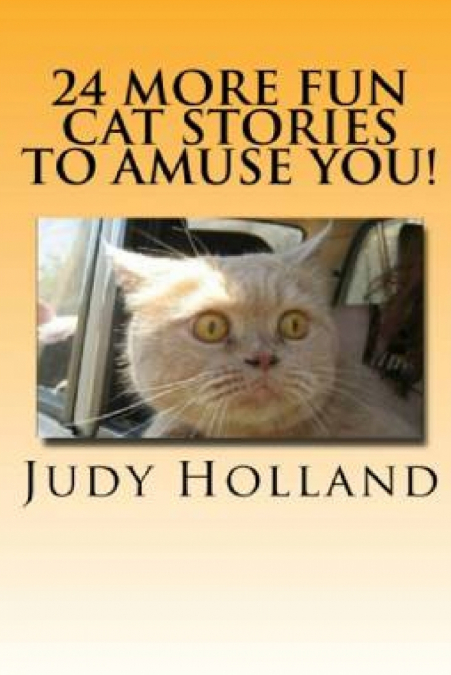 24 More Fun Cat Stories To Amuse You!