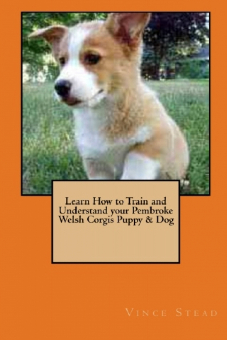 Learn How to Train and Understand your Pembroke Welsh Corgis Puppy & Dog