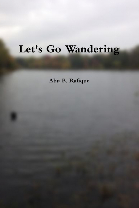 Let’s Go Wandering
