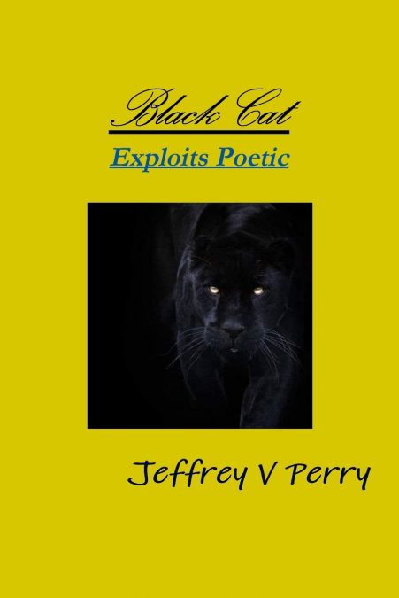 Black Cat, Exploits Poetic