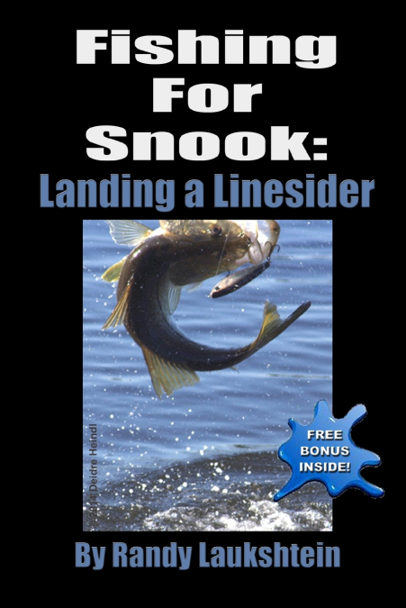 Fishing For Snook