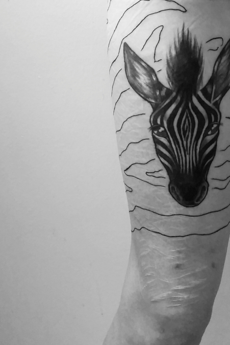 scars and stripes