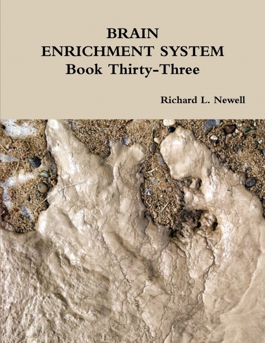 BRAIN ENRICHMENT SYSTEM Book Thirty-Three
