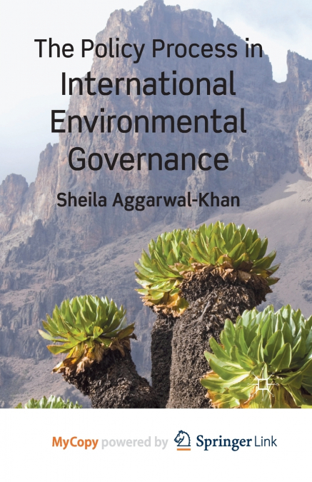 The Policy Process in International Environmental Governance