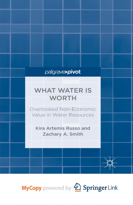 What Water Is Worth