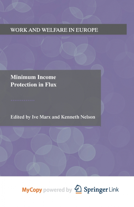 Minimum Income Protection in Flux