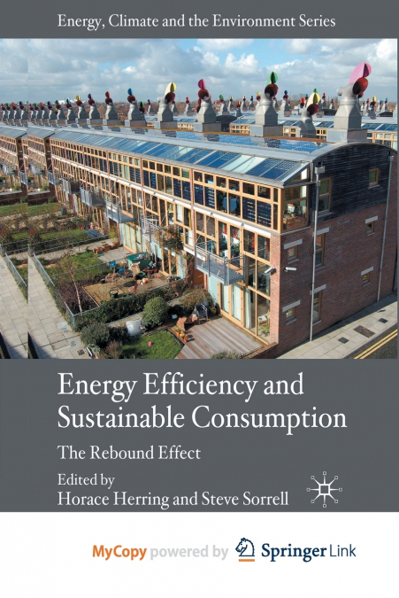 Energy Efficiency and Sustainable Consumption