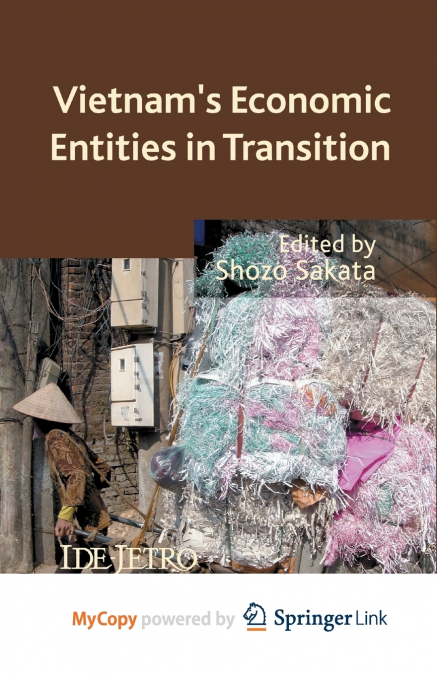 Vietnam’s Economic Entities in Transition