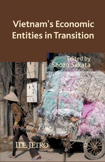Vietnam’s Economic Entities in Transition