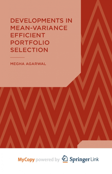 Developments in Mean-Variance Efficient Portfolio Selection