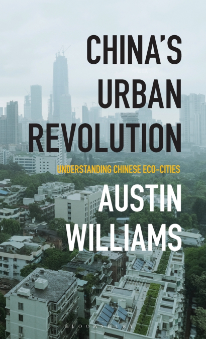 China’s Urban Revolution