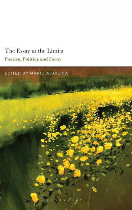 The Essay At the Limits