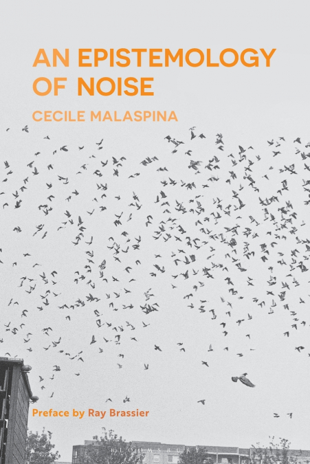 An Epistemology of Noise