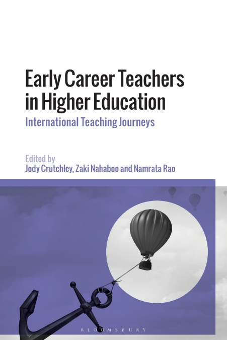 Early Career Teachers in Higher Education