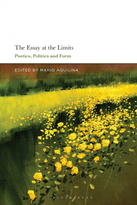 The Essay At the Limits