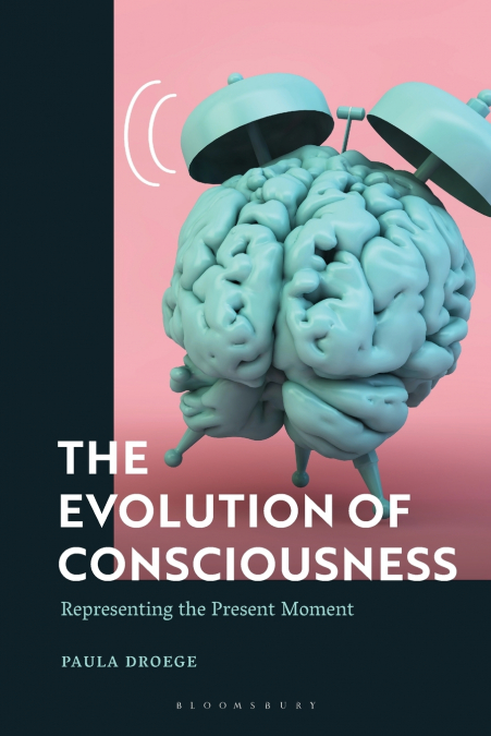 The Evolution of Consciousness