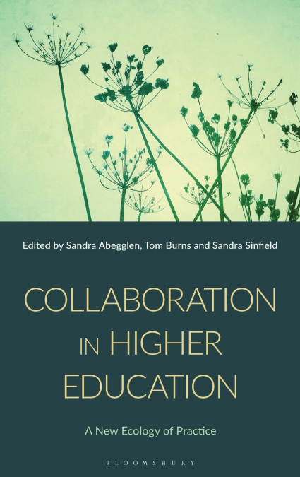 Collaboration in Higher Education