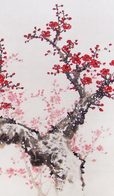 Personal Planer 2016