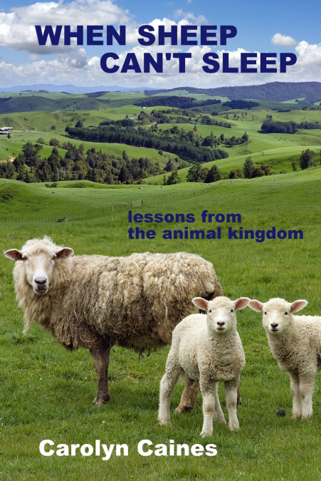 When Sheep Can’t Sleep