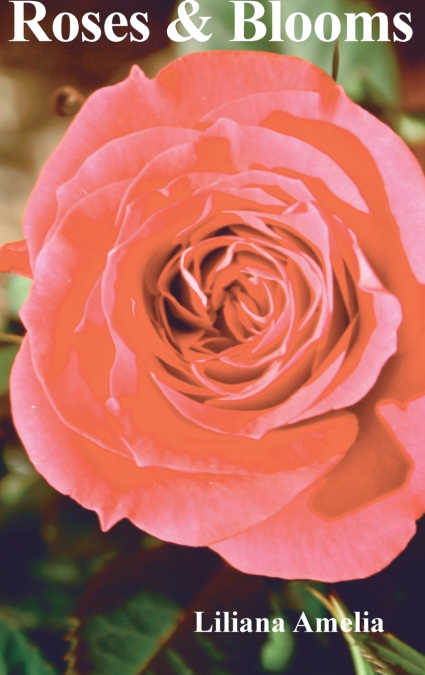 Roses & Blooms