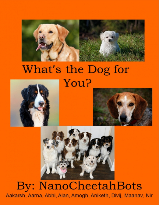 What’s the Dog for You?