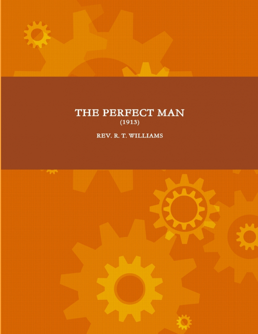 THE PERFECT MAN (1913)