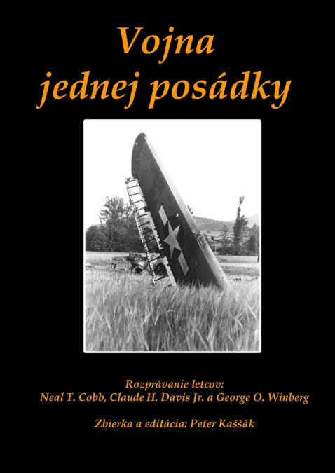Vojna jednej posádky