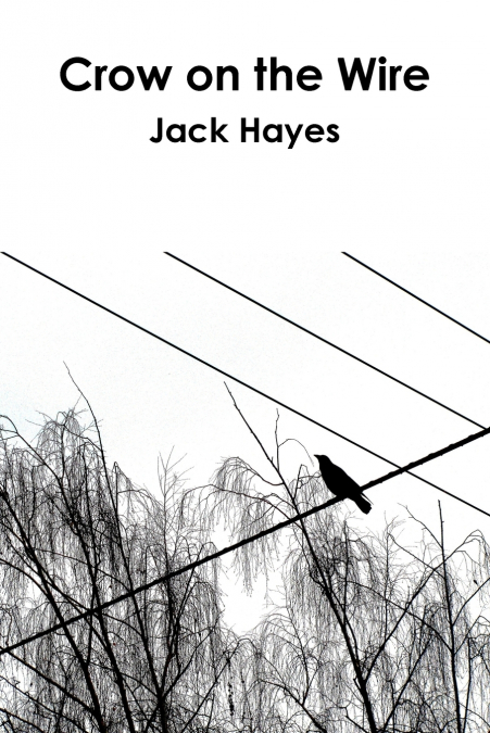 Crow on the Wire