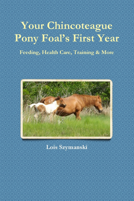Your Chincoteague Pony Foal’s First Year
