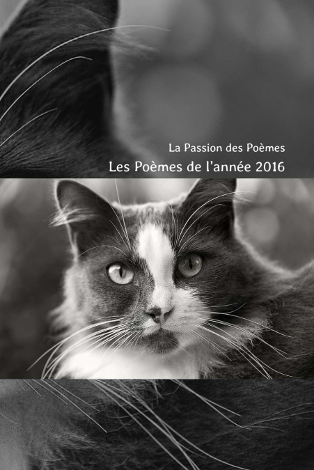 Les Poèmes de l’année 2016