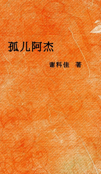 孤儿阿杰