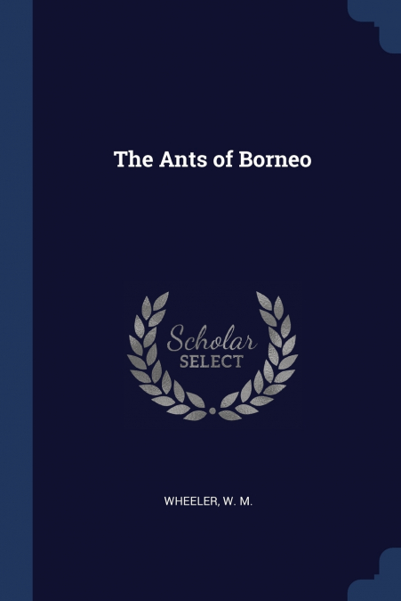 The Ants of Borneo