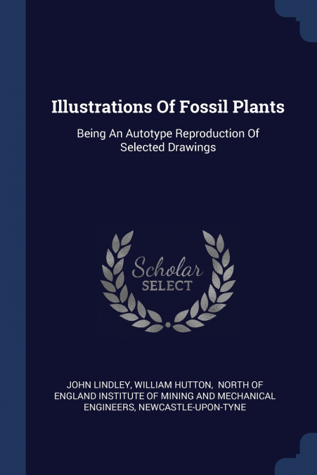 Illustrations Of Fossil Plants