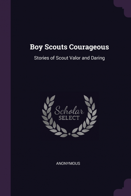 Boy Scouts Courageous